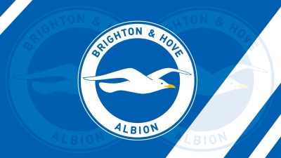 Brighton & Hove Albion: Hành Trình Bóng Đá Của “Chim Hải Âu